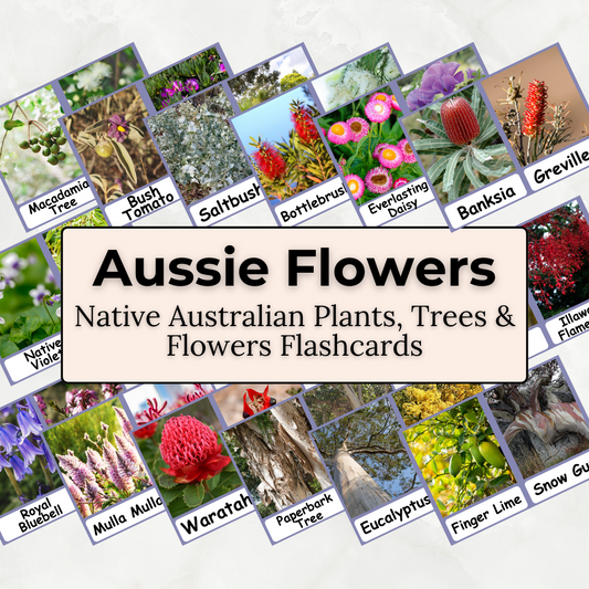 Australian Flora - Printable PDF Flashcard Set
