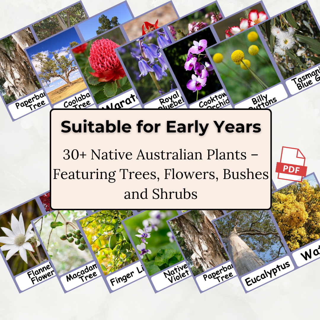 Australian Flora - Printable PDF Flashcard Set