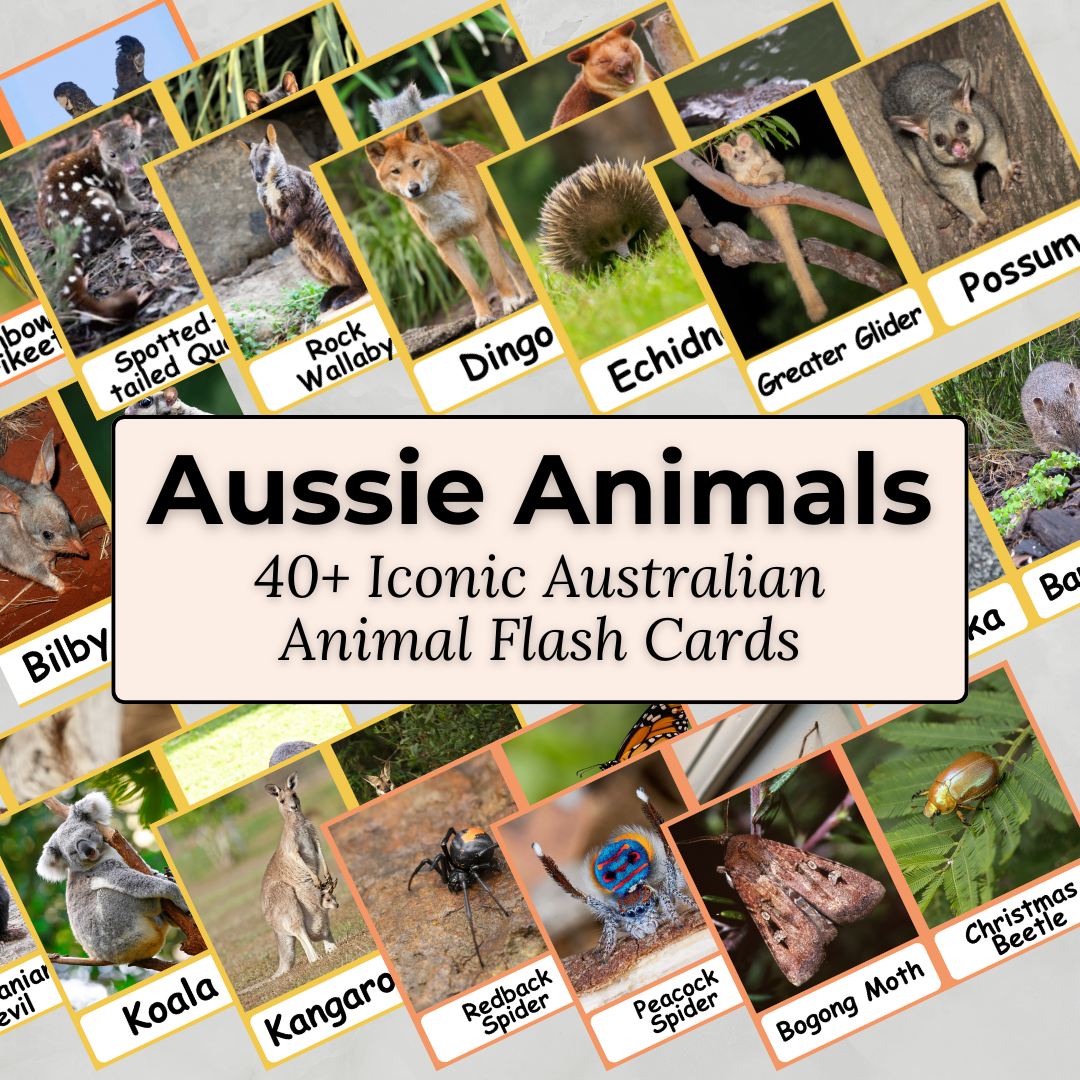 Australian Animals - Printable PDF Flashcard Set