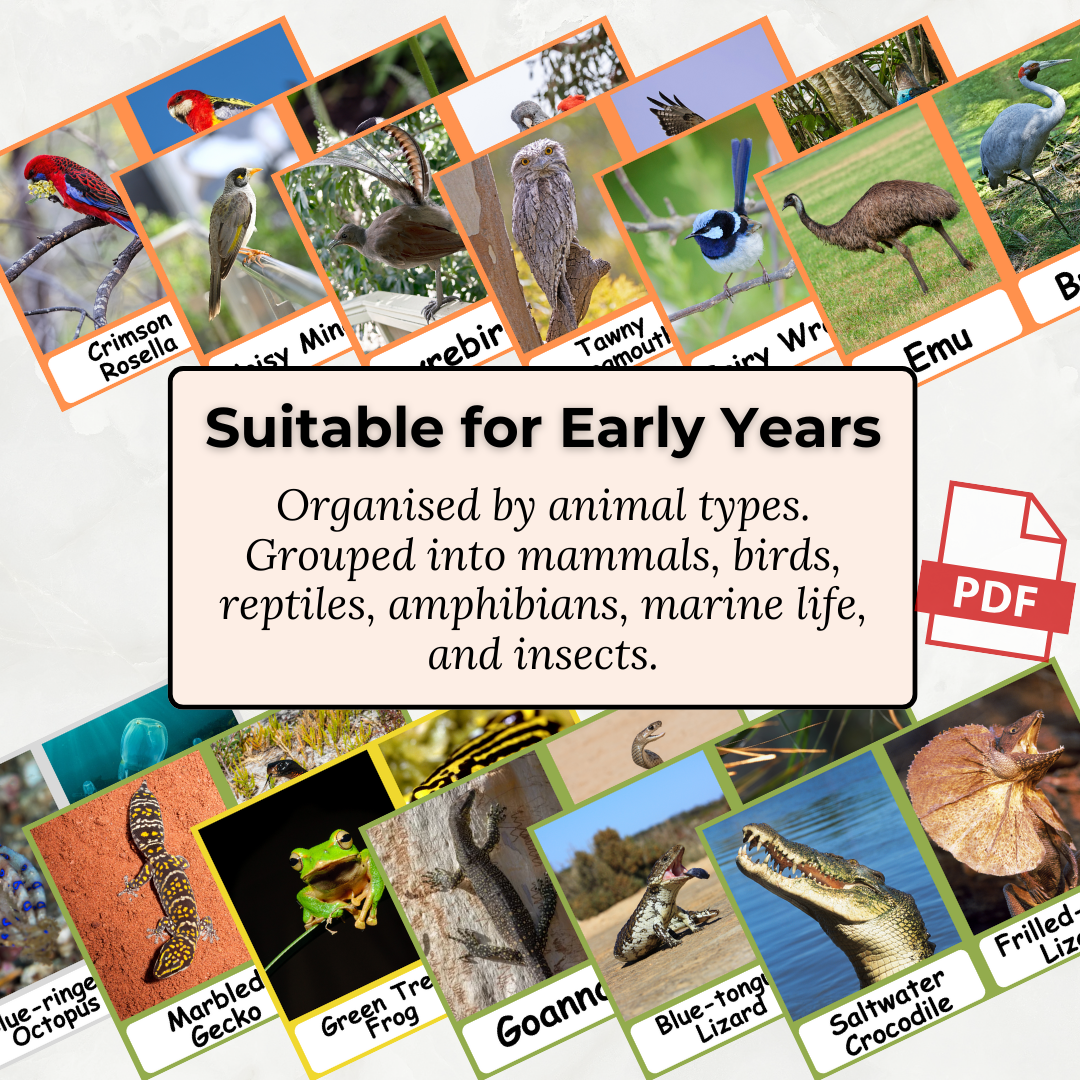 Australian Animals - Printable PDF Flashcard Set