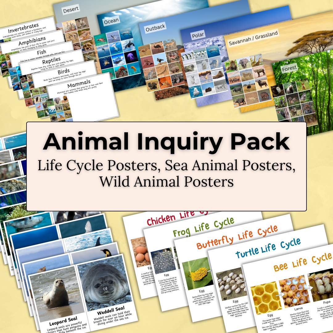 Animal Inquiry Pack – Animals, Habitats & Life Cycles Learning Resource Early Childhood