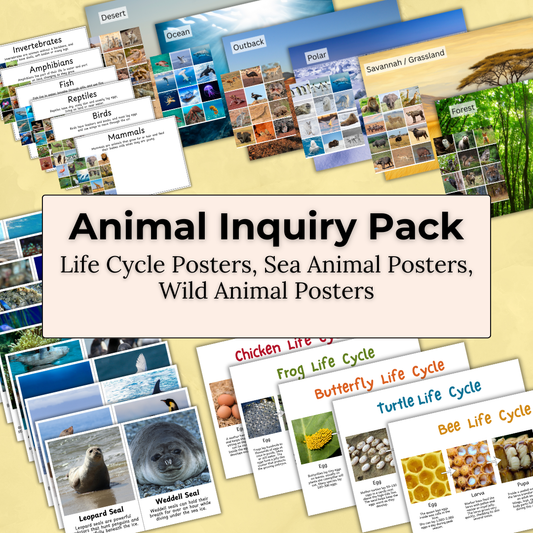 Animal Inquiry Pack – Animals, Habitats & Life Cycles Learning Resource Early Childhood