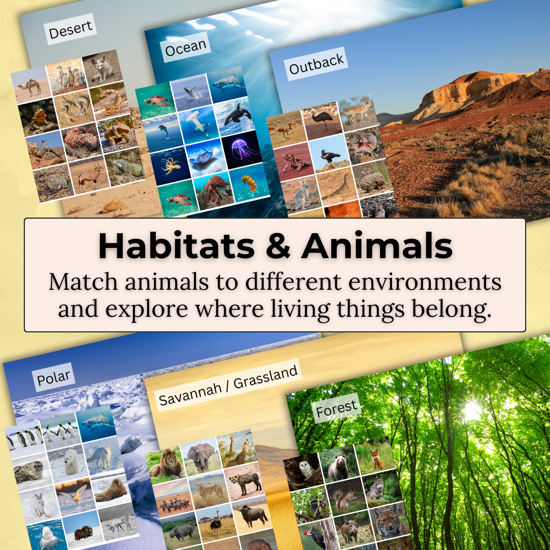 Animal Inquiry Pack – Animals, Habitats & Life Cycles Learning Resource Early Childhood