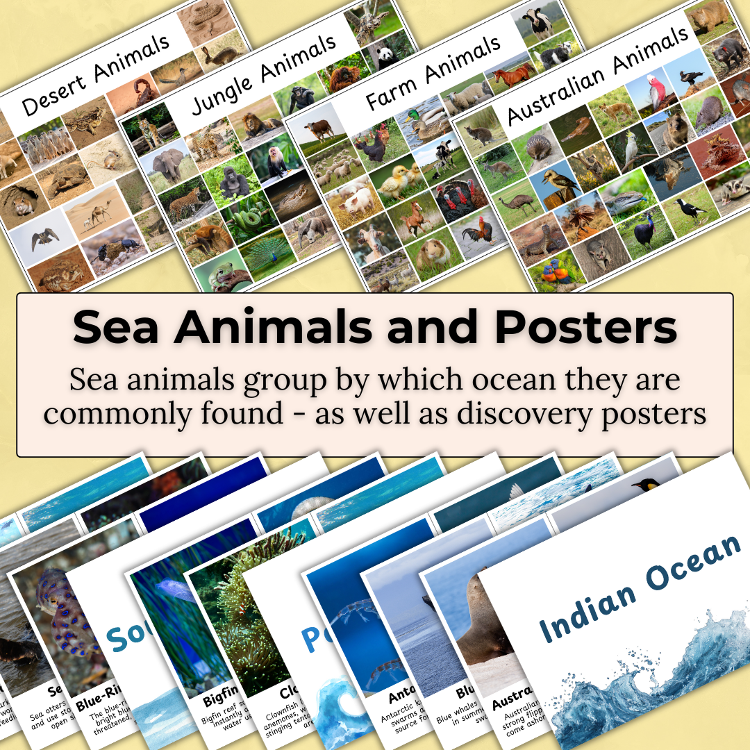 Animal Inquiry Pack – Animals, Habitats & Life Cycles Learning Resource Early Childhood