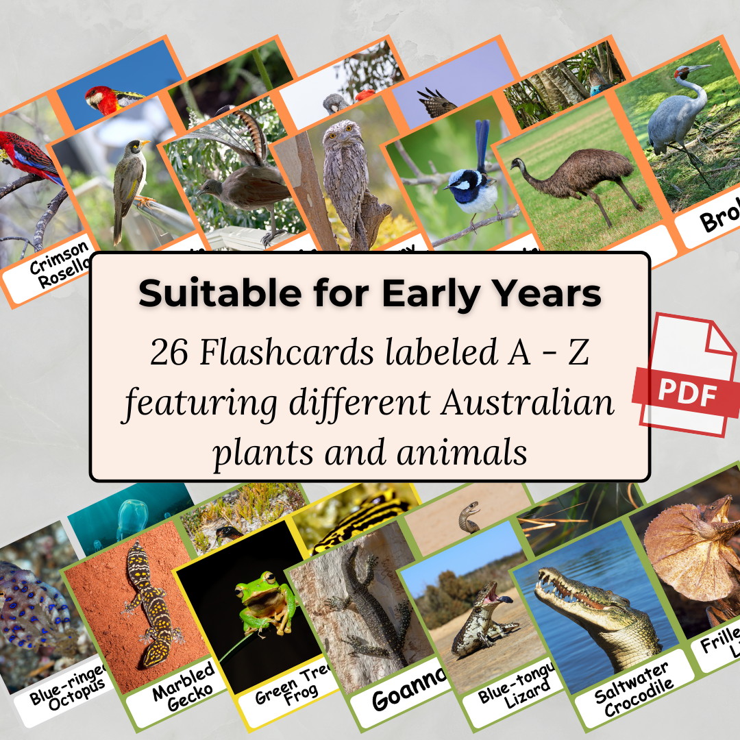 Australian Alphabet A-Z - Printable PDF Flashcard Set