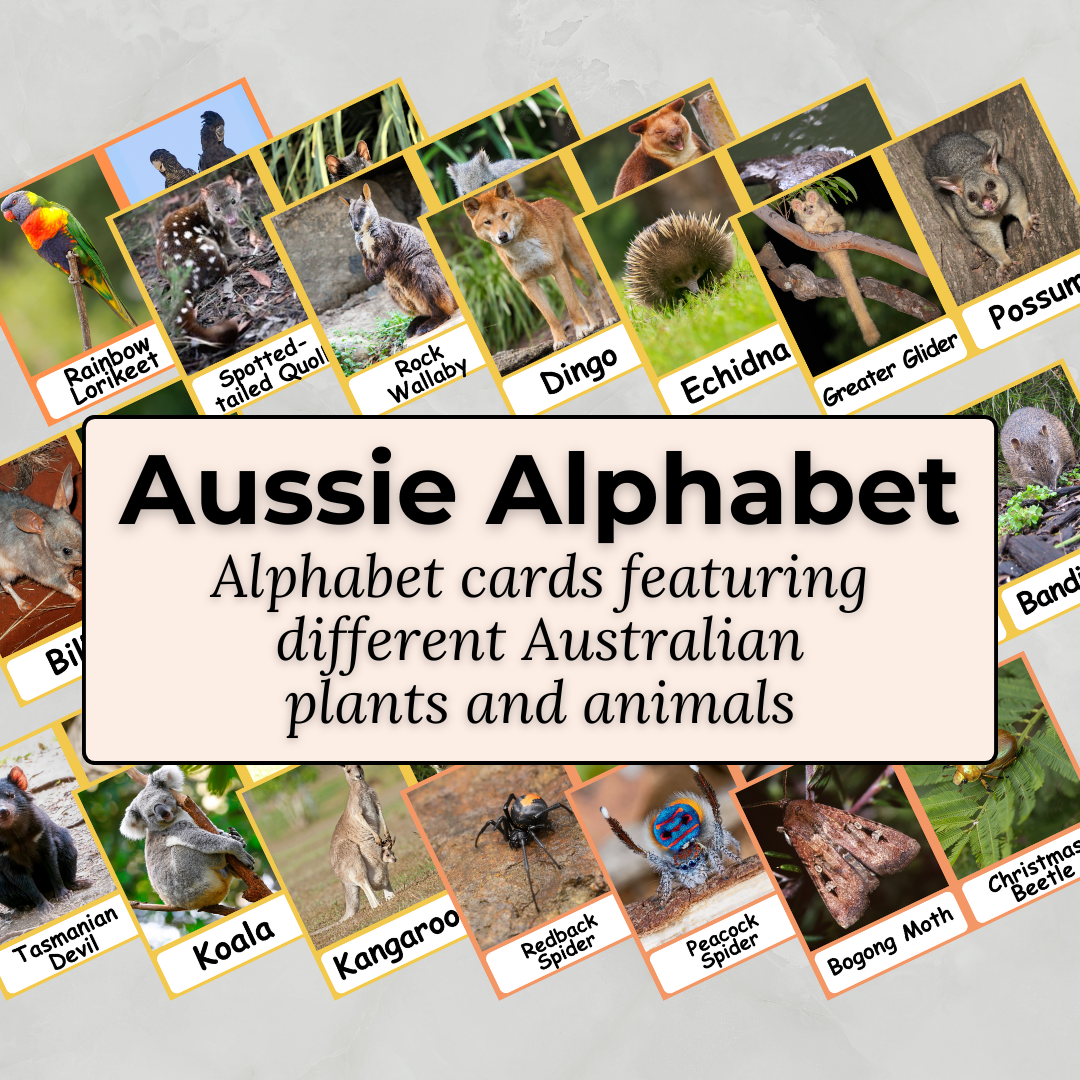 Australian Alphabet A-Z - Printable PDF Flashcard Set
