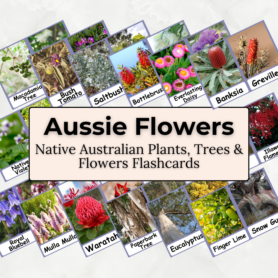 Australian Flora - Printable PDF Flashcard Set