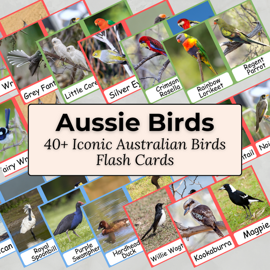 Australian Birds - Printable PDF Flashcard Set